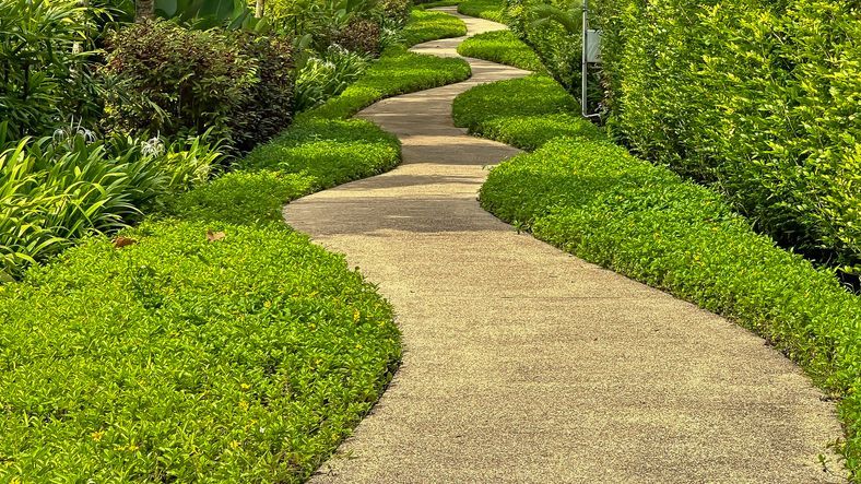 Winding Garden Park Path With Natural Landscaping Design Including Plants Flower and Grass Natural Elements Outdoor Environment Lush Greenery